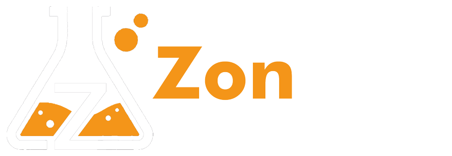 ZonLabs Consulting
